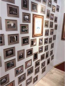 1561966660119060.jpg 32.jpg