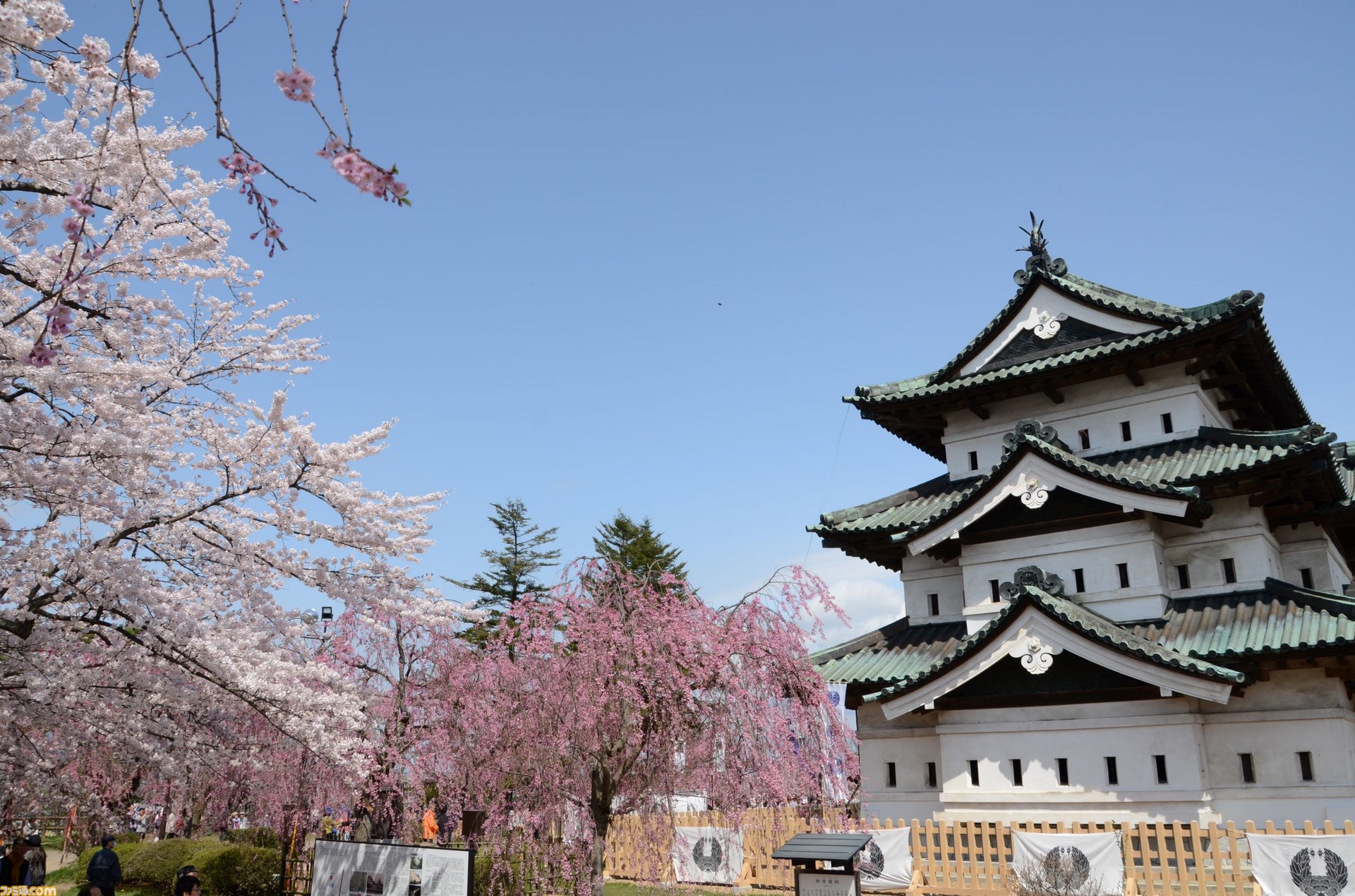 1566197292371250.jpg 7.jpg