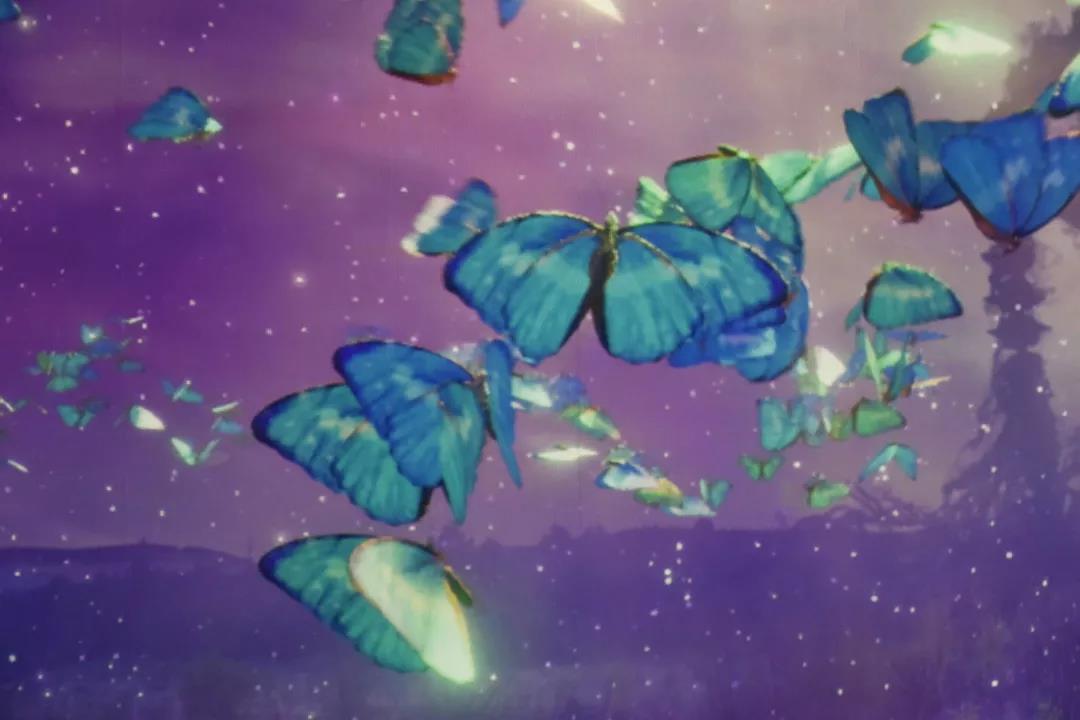 1573789809412131.jpg 4.jpg