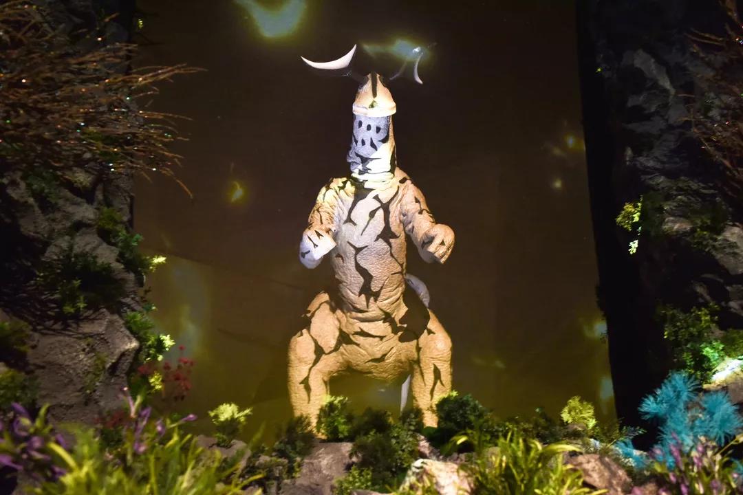 1573789821399522.jpg 5.jpg