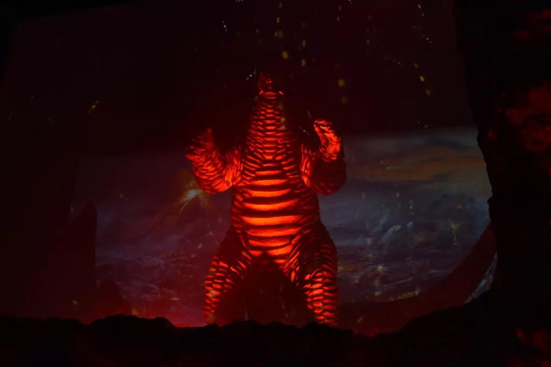 1573789828132326.jpg 6.jpg