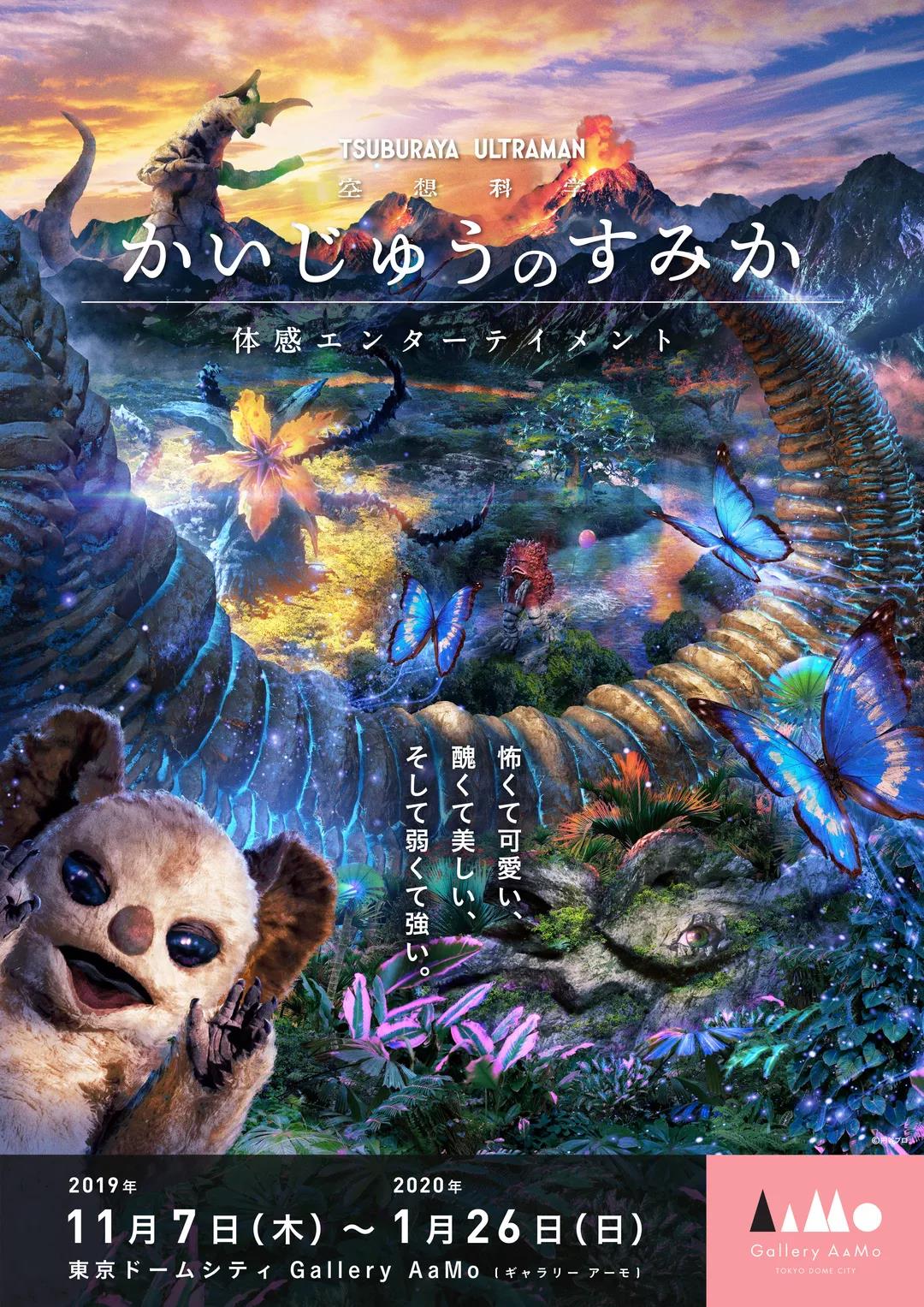 1573789836245508.jpg 7.jpg